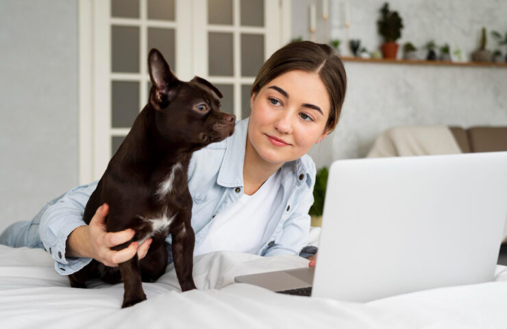 20 Pet Insurance Blog Topics To Bring Organic Traffic to Your Website