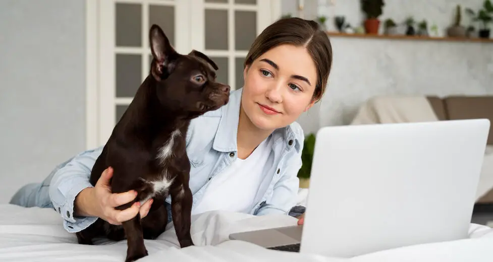 20 Pet Insurance Blog Topics To Bring Organic Traffic to Your Website